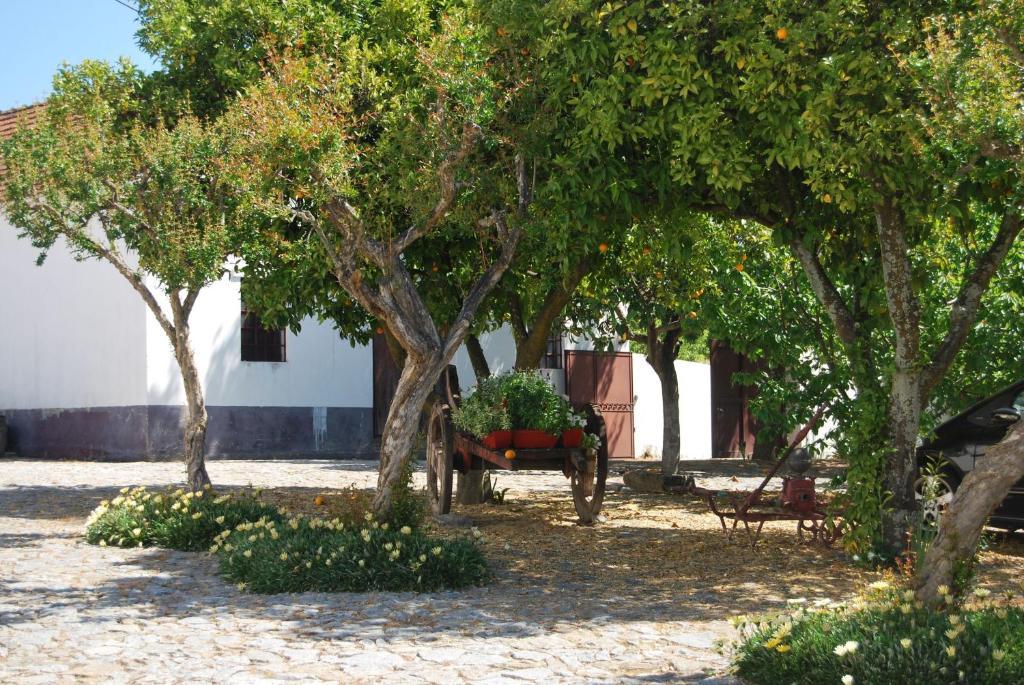 Hotel Quinta De Tourais Lamego Exterior foto