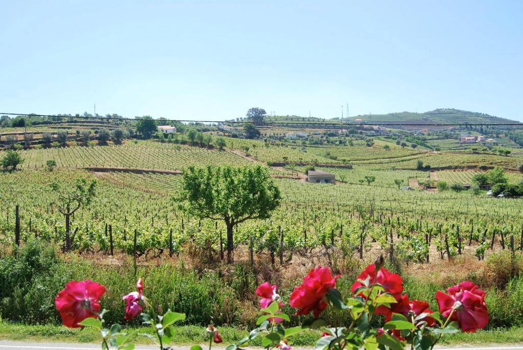 Hotel Quinta De Tourais Lamego Exterior foto